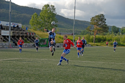 VVIL-Midsund2008012_edited